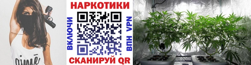 Купить закладку Гашиш  Конопля  КОКАИН  APVP  МЕФ  Жуков